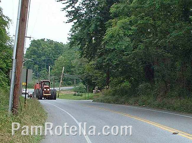 Farm machinery and turtle on road