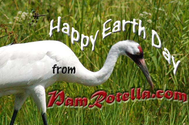 Earth Day card to readers