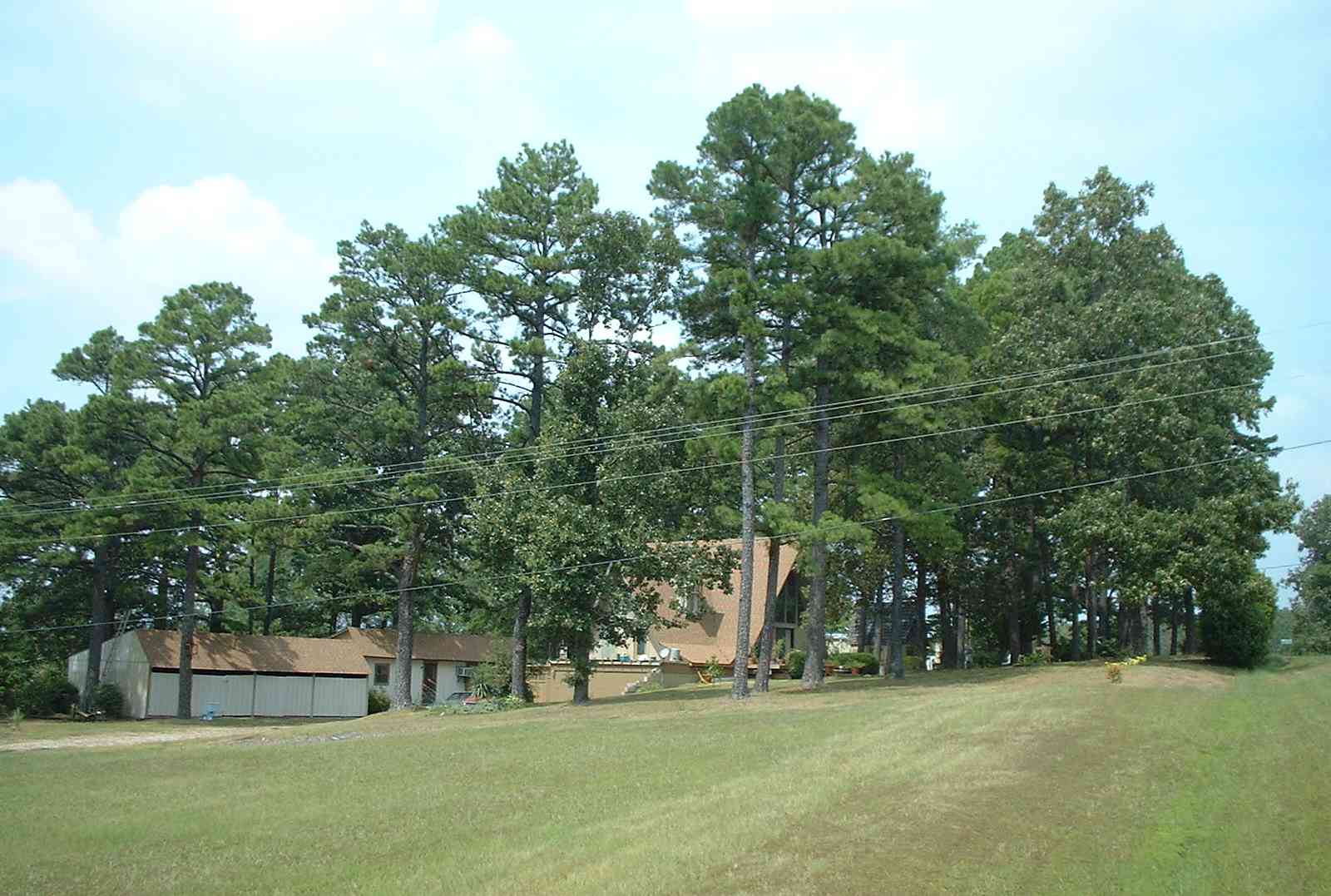 Mena, Arkansas