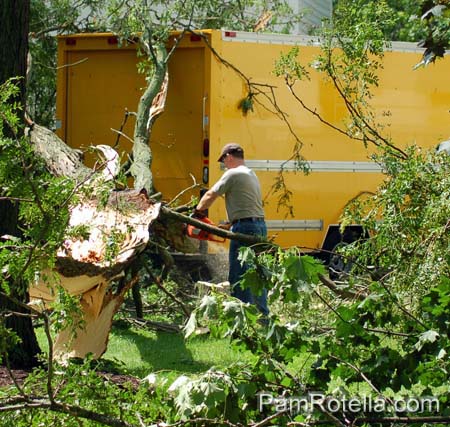 Mike Sadler clears fallen tree from his yard