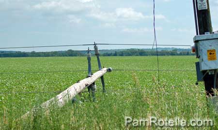 Downed power pole with broken line dangling along Markham Road