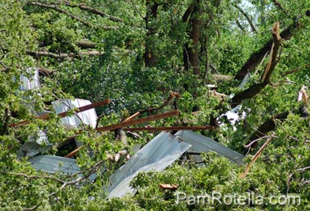 Damage at Kettle Moraine Ranch