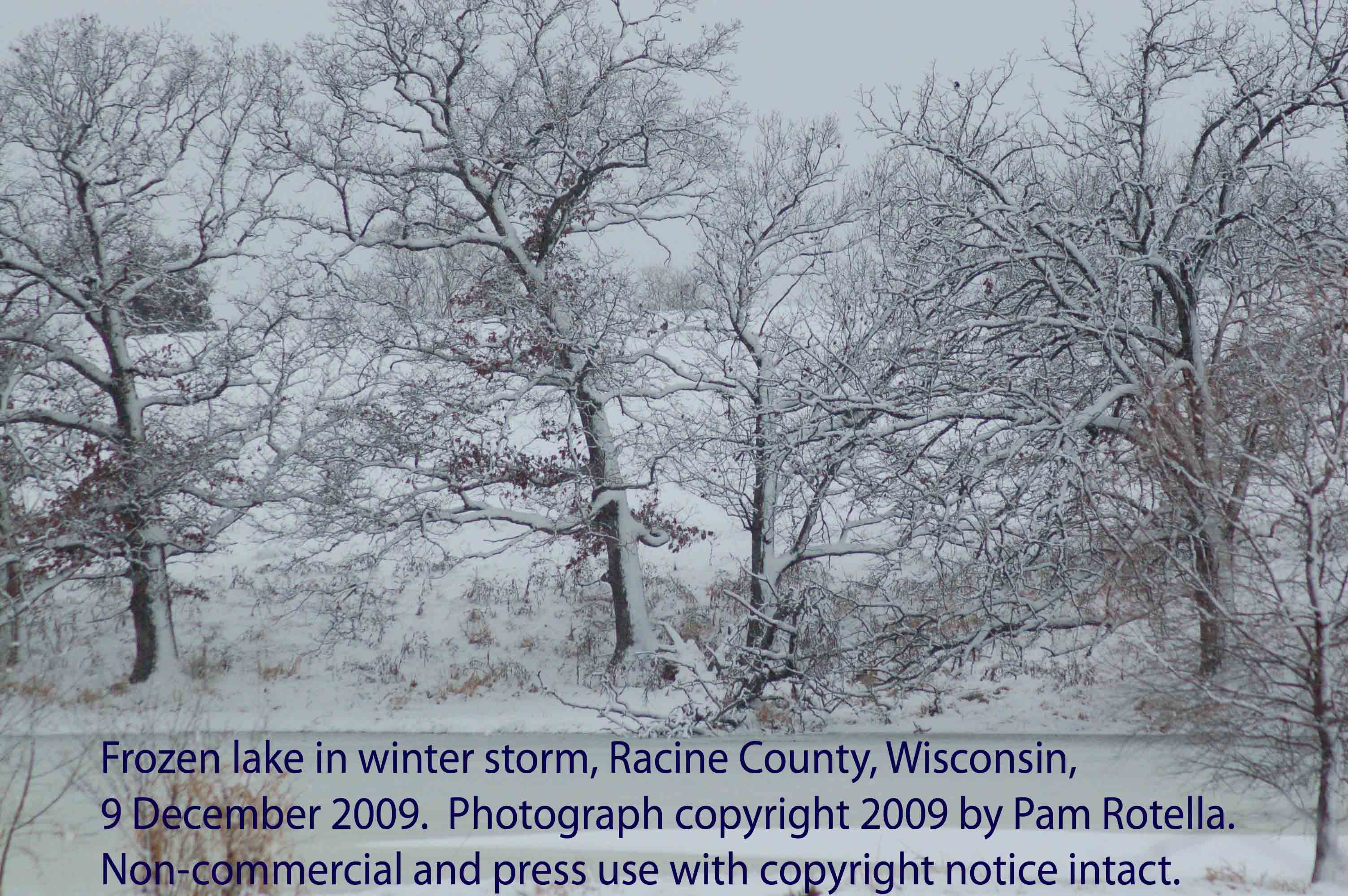Winter storms, frozen lake, Racine County, WI, 9 Dec 2009