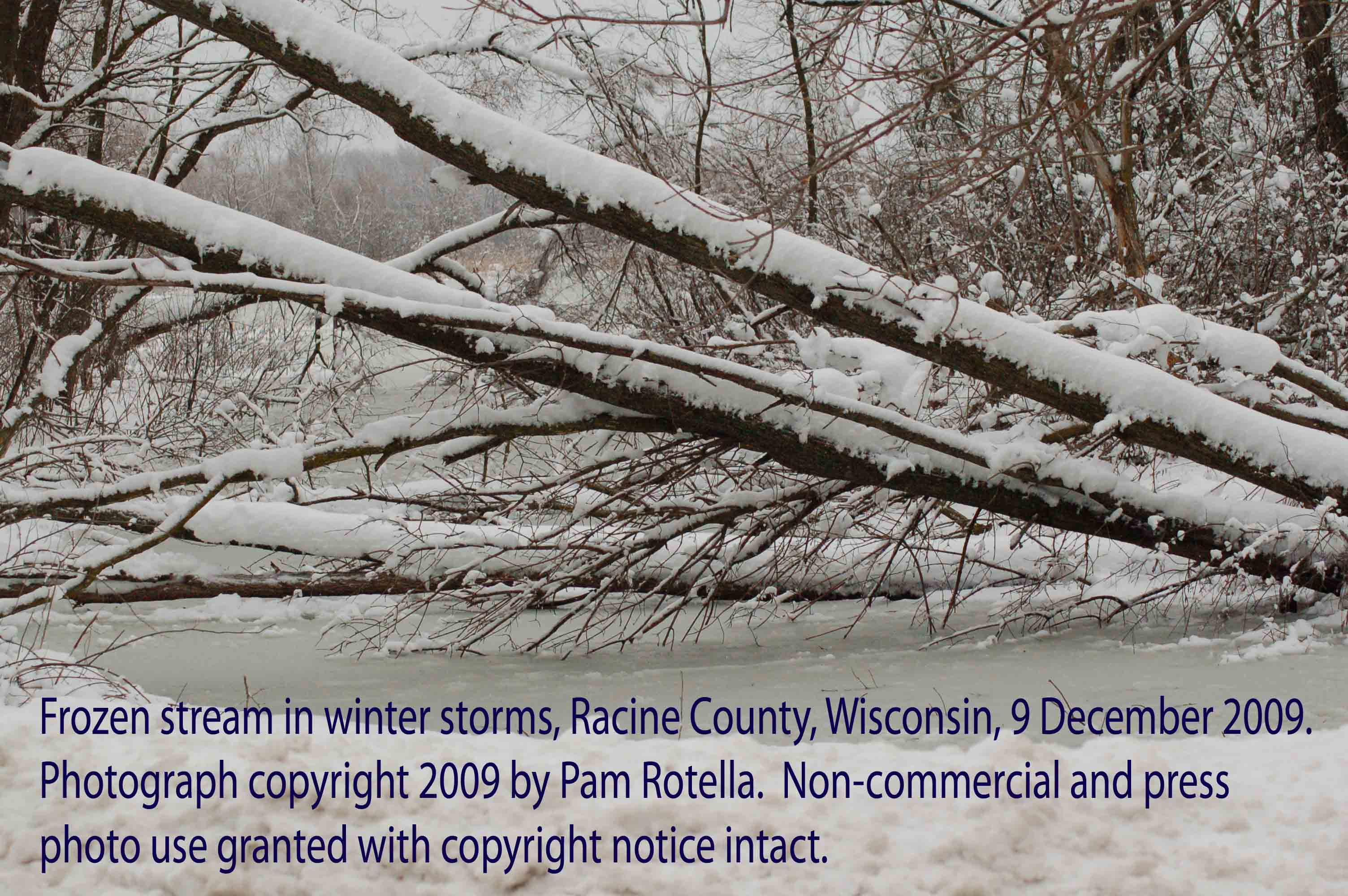 Winter storms, frozen stream, Racine County, WI, 9 Dec 2009