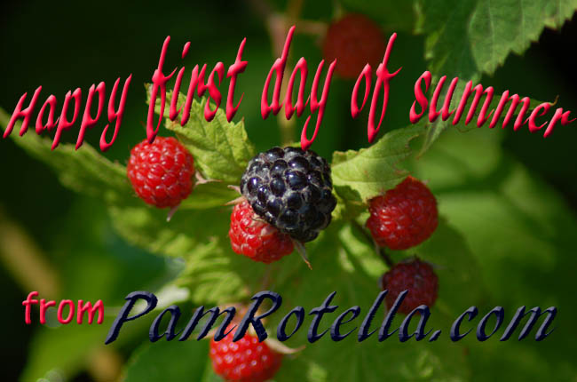 First day of summer card to readers 2011, ripening blackberries photo by Pam Rotella