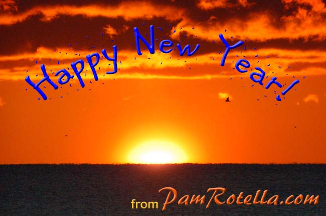 New Year's Day card to readers 2012