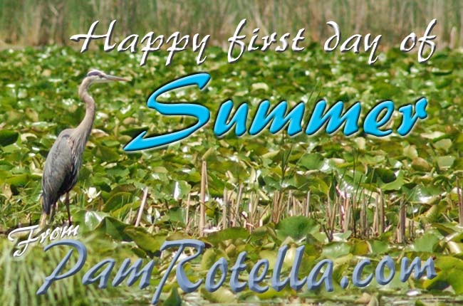 Summer card to readers 2010