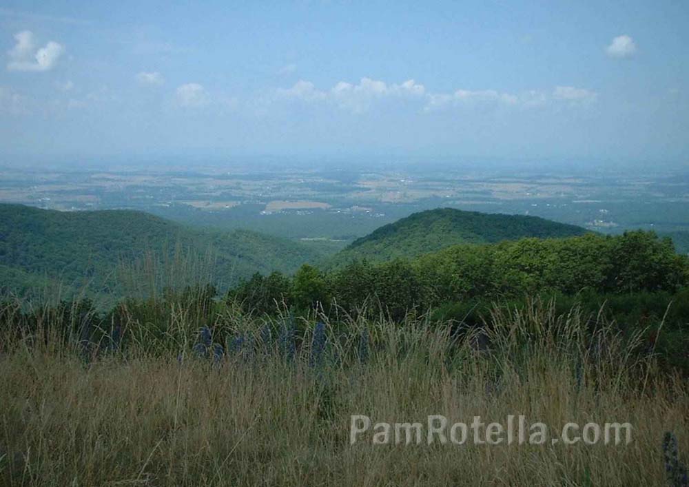 Man-made landscape in valley of Skyline Drive, Virginia, photo by Pam Rotella