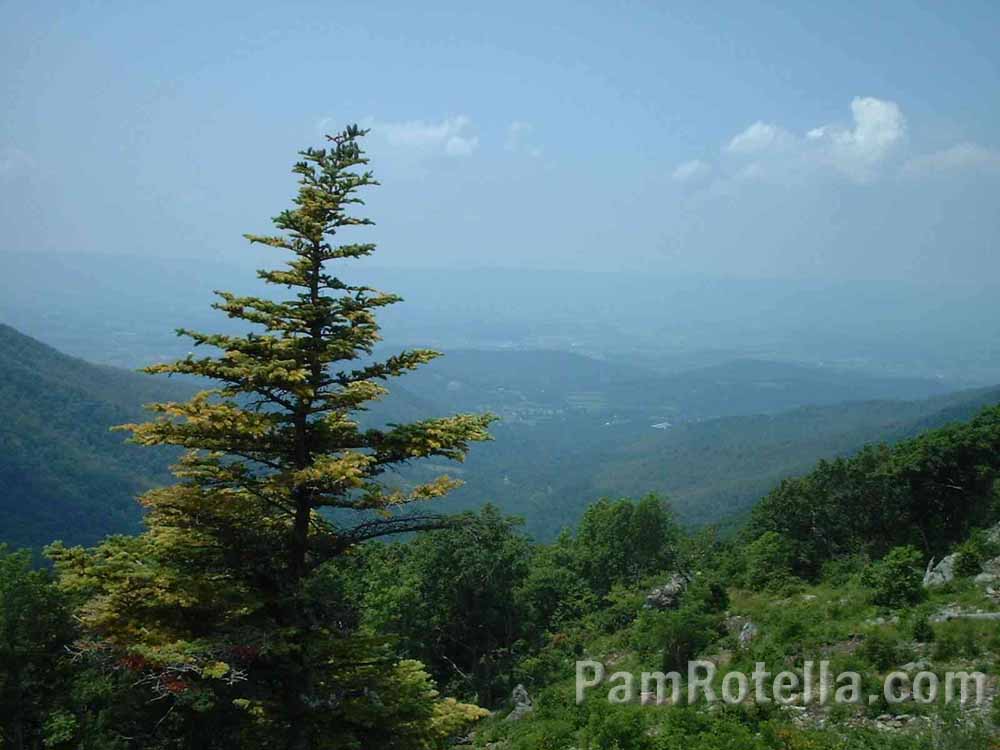 Blue Ridge Mountain scenery, photo by Pam Rotella