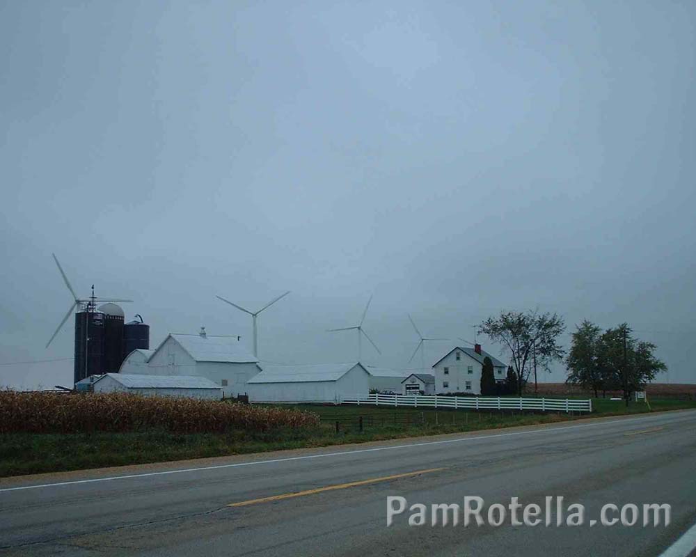 Wisconsin windmill farm