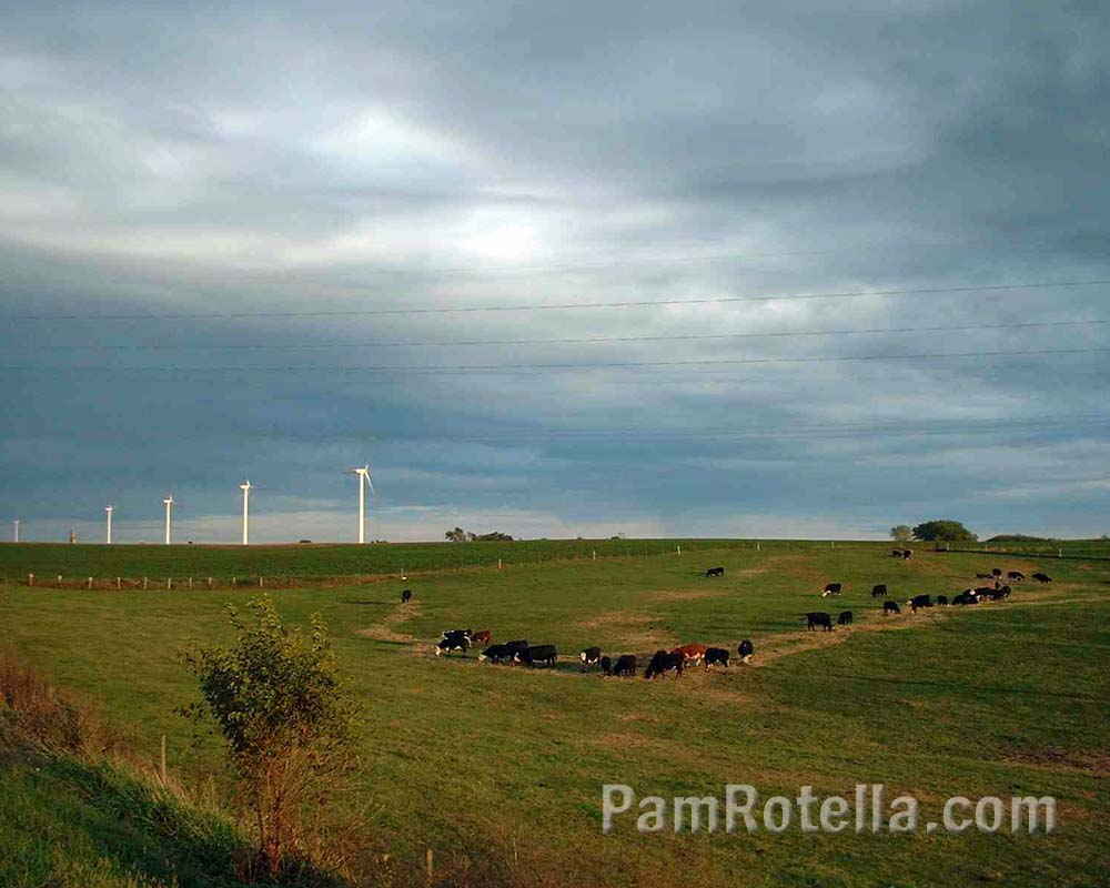 Wisconsin windmill farm