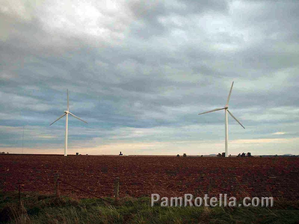 Wisconsin windmill farm