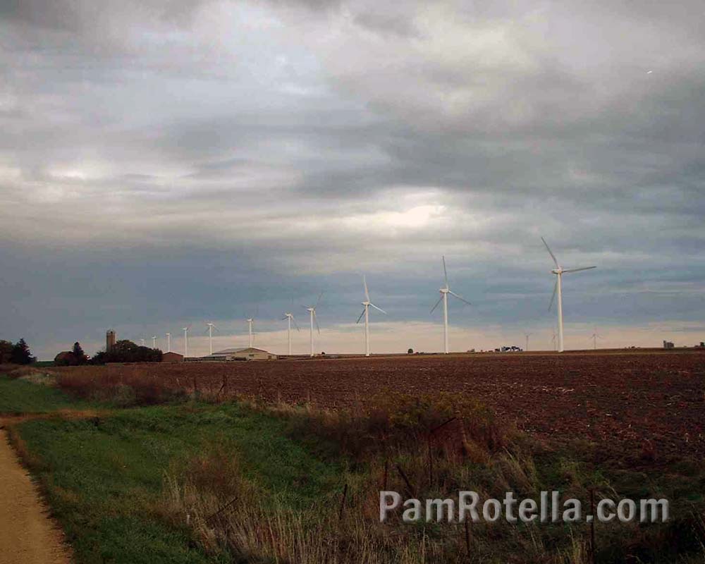 Wisconsin windmill farm