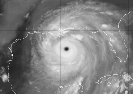 Satellite image of Katrina from davesdaily.com